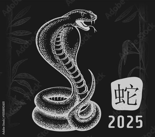 Sketch year of snake 2025 with bamboo. snake in chinese. dark background vector