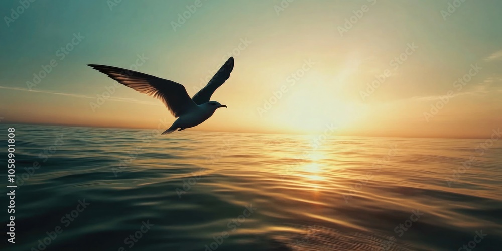 Fototapeta premium Bird Flying Over Ocean Sunset