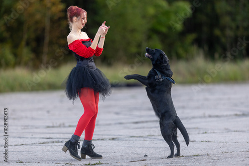 Enchanting Halloween Dance with Black Dog: Vibrant Energy and Movement