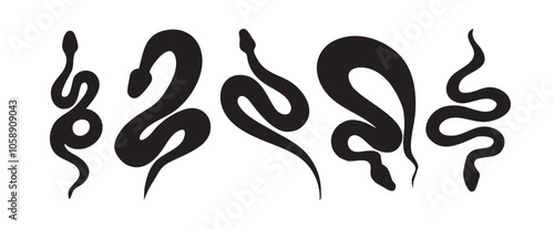 Snakes symbol of 2025 year set of graphic images. Vector illustration.