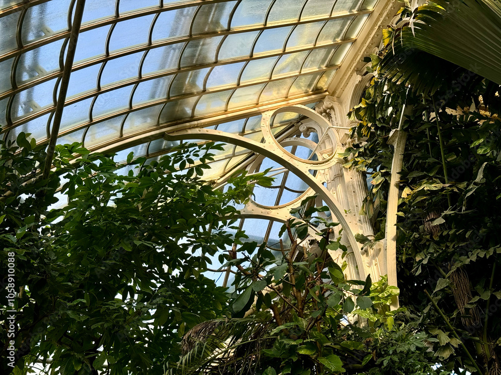 Das Große Palmenhaus Schönbrunn in Wien, Österreich