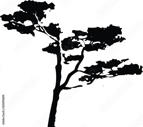 Pine tree silhouettes. Evergreen forest firs and spruces black shapes, Detailed tree silhouettes of various trees on a white background