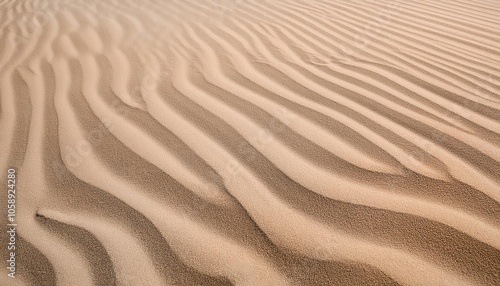 Serene Desert Sand Dune Ripples in Soft Light. Natural Patterned Texture for Calm Backgrounds, Web Design, or Environmental Concepts on Nature’s Patterns and Minimalism