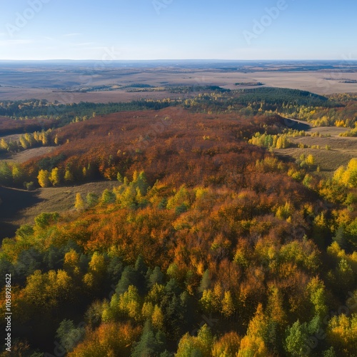 Autumn landscape