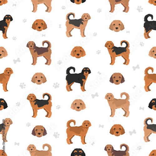 Airedale terrier Poodle seamless pattern. Airedoodle clipart. Different coat colors set.  Vector illustration