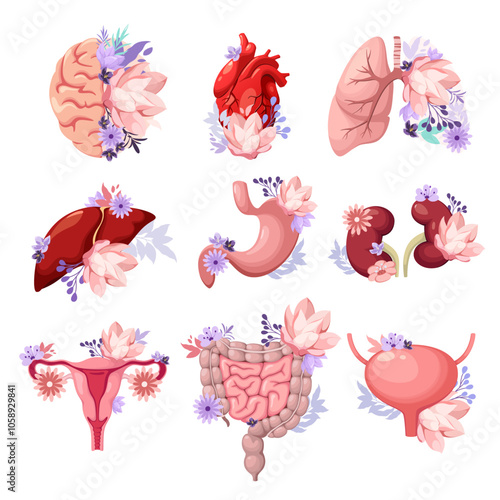 A set of human organs decorated with flowers. Vector illustration.