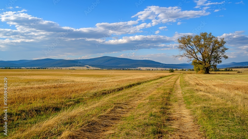 Serene Countryside Landscape vs. Chaotic Urban Environment Serene Countryside Landscape vs. Chaotic Urban Environment