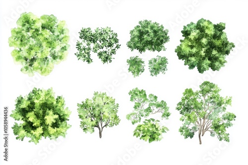 Obraz na płótnie Watercolor shrub icon set from a bird’s eye view, artisan floral diagram graphics for eco-friendly design toolkit. Garden flora icons, sustainable layout graphics, landscape planning tools w salonie