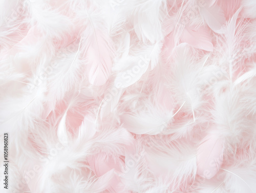 A soft feather pattern background with delicate feathers in shades of white and pastel pink.