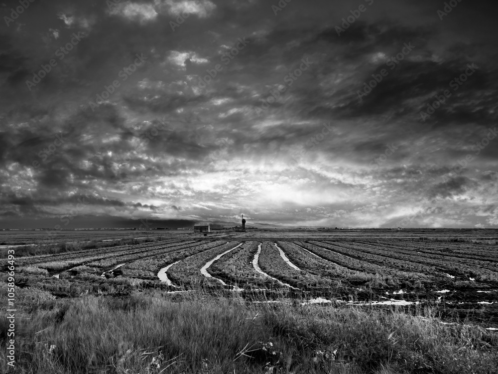 Fototapeta premium Sunset around the Albufera of Valencia (Spain)