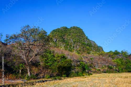 A photo of a dry rice field view is suitable as a background