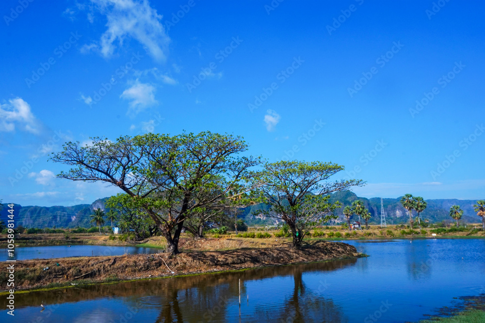 Trees on the edge of the pool embankment that reflect shadows