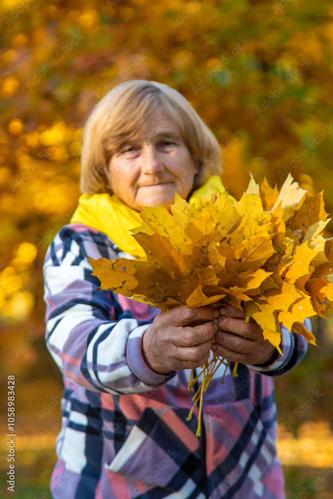 Senior woman in autumn park. Selective focus. Senior woman in autumn park. Selective focus.
