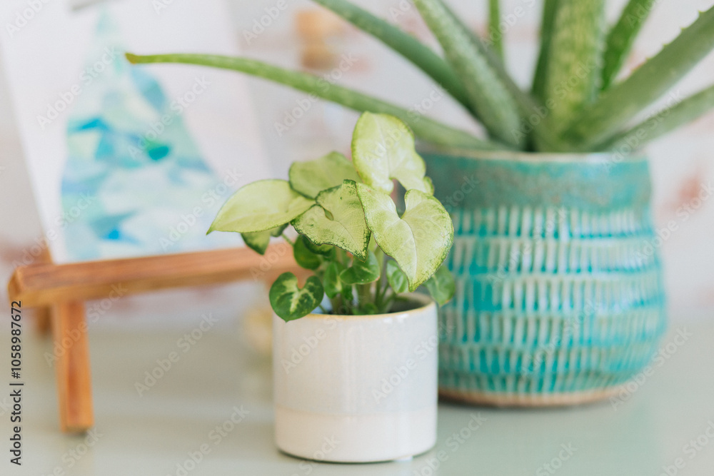 custom made wallpaper toronto digitalSyngonium Podophyllum White Butterfly on a shelf