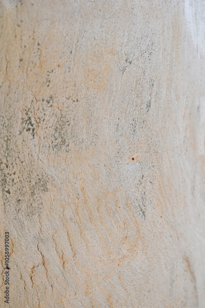 Fototapeta premium Eucalyptus tree bark texture, Bark of eucalyptus tree, seamless texture, a eucalyptus tree bark texture background image