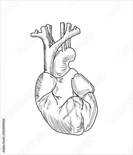 Human organ icons sketch. Lungs, liver, heart, large intestine, tooth, ear	