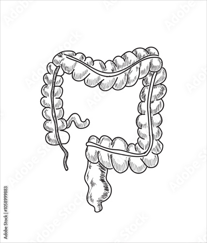 Human organ icons sketch. Lungs, liver, heart, large intestine, tooth, ear	