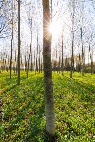 Sile River Natural Park
