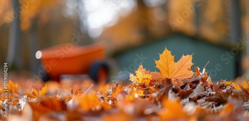 Autumn Leaves on a Fall Day