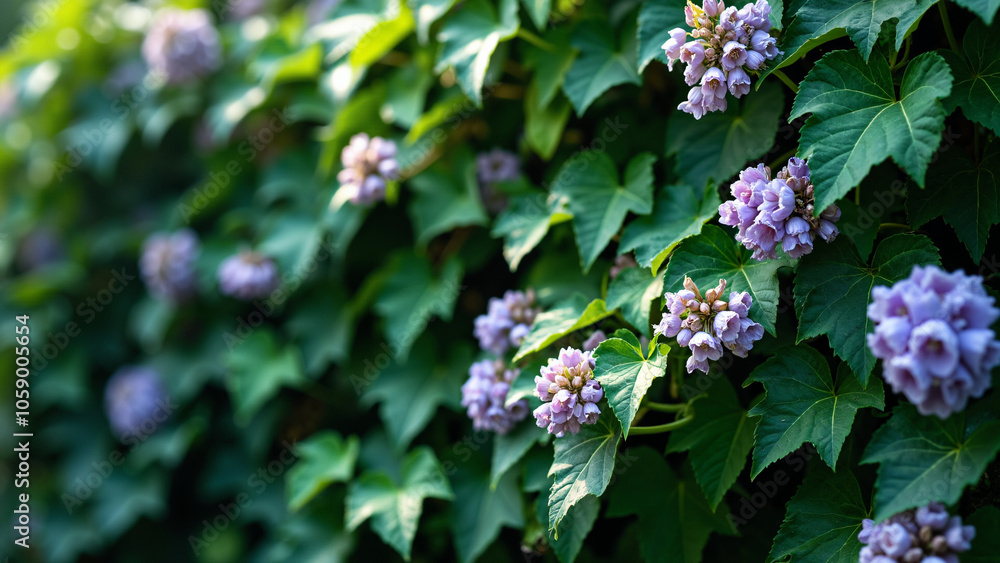 Lush Ivy and Lavender Flowers: Nature's Harmony for Eco-Friendly Branding and Wellness Campaigns Lush Ivy and Lavender Flowers: Nature's Harmony for Eco-Friendly Branding and Wellness Campaigns