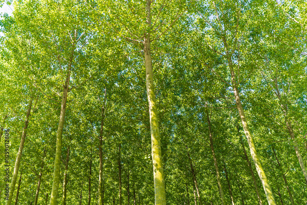 Sile River Natural Park