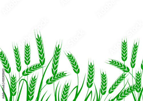 grain, rye, wheat - background, banner vector illustration