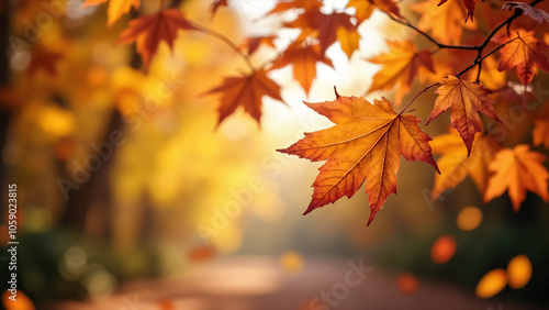 Falling Autumn Leaves: Serene Beauty for Seasonal Marketing, Greeting Cards, and Event Promotions