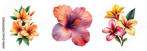 Colorful Tropical Flowers on Transparent Background