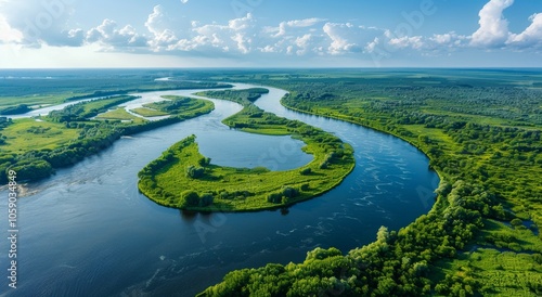 Aerial View of a Winding River in a Lush Green Forest on a Sunny Day