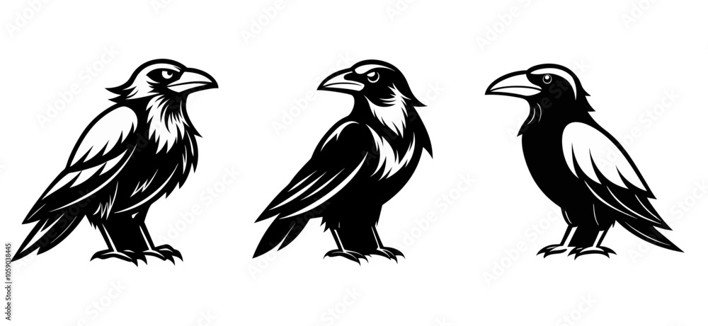 Obraz premium Raven and crow silhouette vector set design