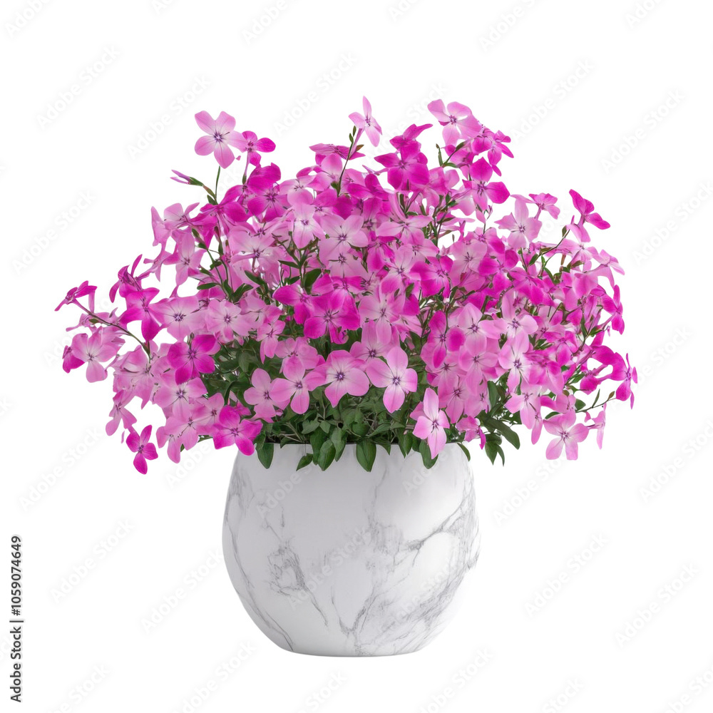 Fototapeta premium Pink flower bouquet, white isolate background