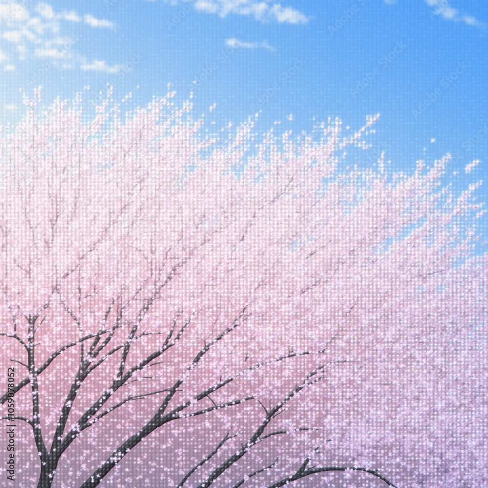 Stunning Pink Cherry Blossoms Against Blue Sky