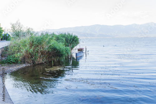 A small boat rests among the tall reeds along the calm shores of Doiran Lake. photo