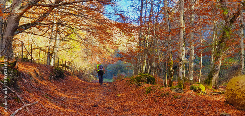 Paisaje otoñal con colores rojizos y amarillos donde se ven árboles perennes y personas paseando photo