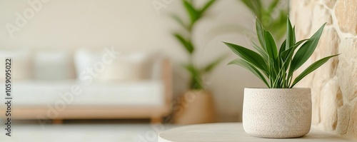 Bamboo and stone details in living room, neutral colors, soft lighting, plants, cozy textures, serene atmosphere, eco-friendly, earthy and organic