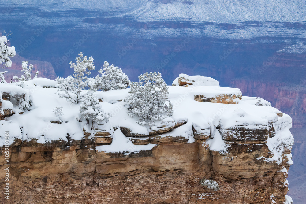 Φωτογραφία Tree and boulders covered with snow and icicles, on a finger of rock stretching out from the Grand Canyon's South Rim