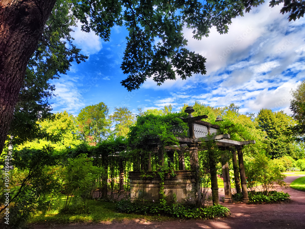 Obraz premium A park with trees and grass in summer