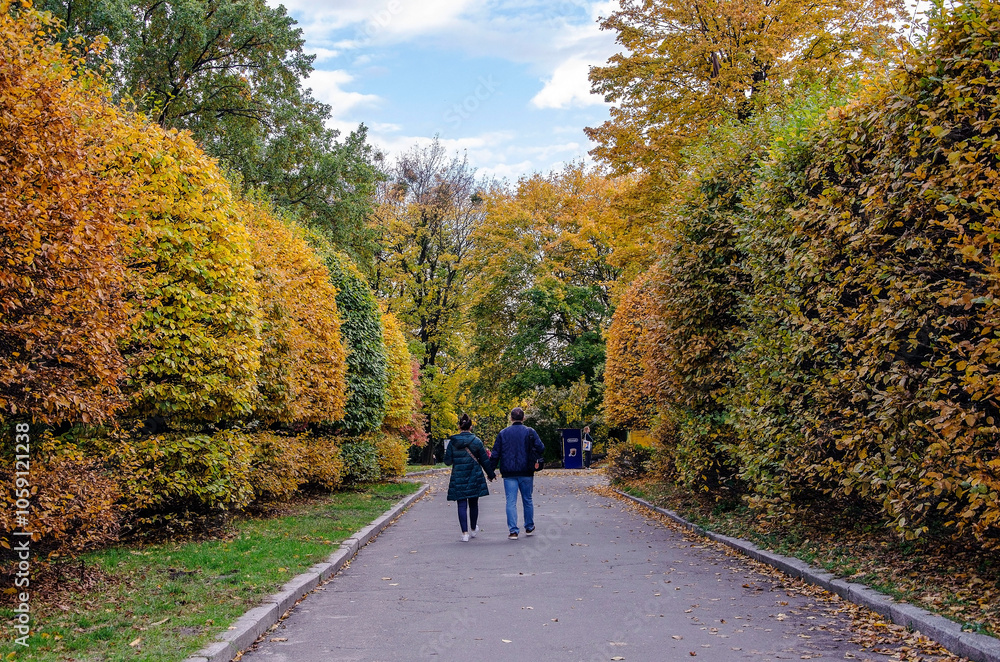 Autumn alley in the park. Kyiv. Ukraine. Autumn alley in the park. Kyiv. Ukraine.