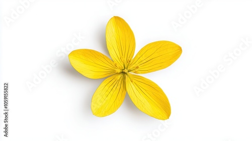 Vibrant yellow flower with intricate petal details against a white background, showcasing nature's beauty.