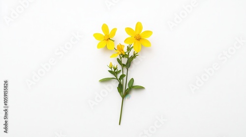 A vibrant bouquet of yellow wildflowers against a clean white background, symbolizing beauty and simplicity.