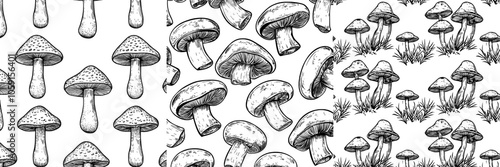 Forest edible boletus mushrooms with brown caps. Seamless pattern on the theme of forest, harvest, and nature. Hand drawn with brown ink.