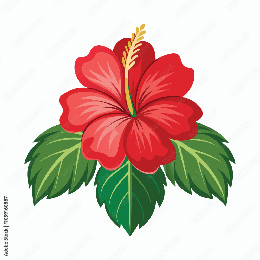hibiscus vector illustration hibiscus vector illustration