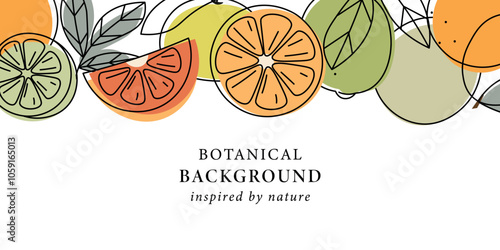 Line art citrus fruits background. Lemon, orange, yuzu, pomelo, lime, mandarin