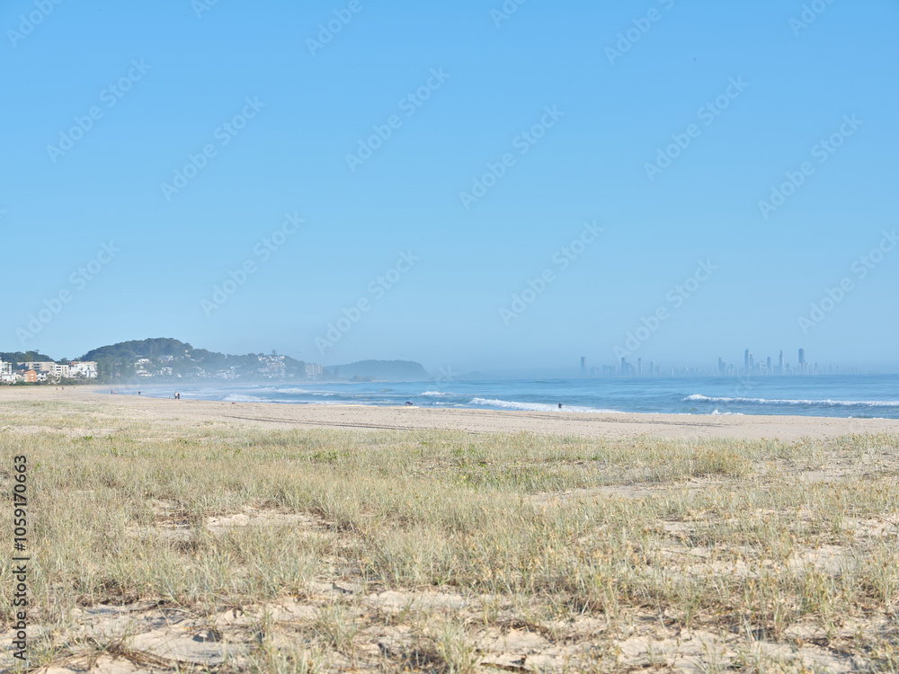 beach side with dune grass and tall buildings across bay beach side with dune grass and tall buildings across bay