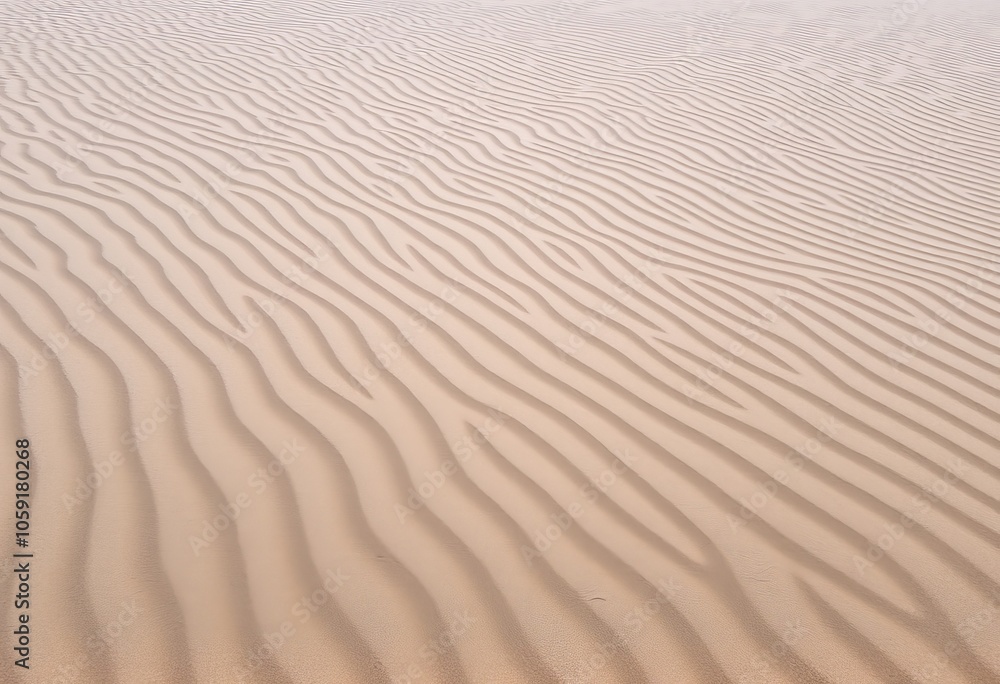 Sand Dune Ripples Wavy patterns formed by the wind blowing sand Sand Dune Ripples Wavy patterns formed by the wind blowing sand