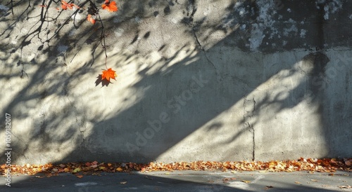 A solitary red maple leaf clings to a sunlit wall on a crisp autumn day in Oc...