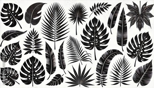 Tropical Leaf Silhouettes Black and White Illustration Set