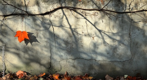 A solitary red maple leaf clings to a sunlit wall on a crisp autumn day in Oc...