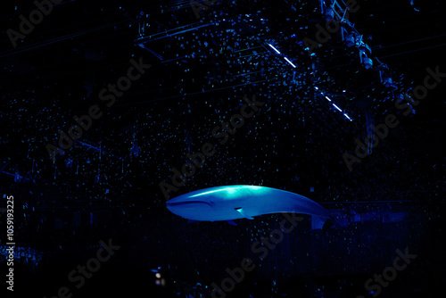 An artificial whale and lights in a show 