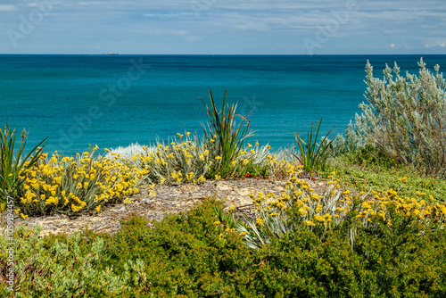 Vegetated sand dune in front of Indian Ocean photo